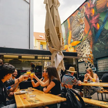 Hostel Drunken Monkey *