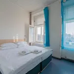 Drunken Monkey Hostel *